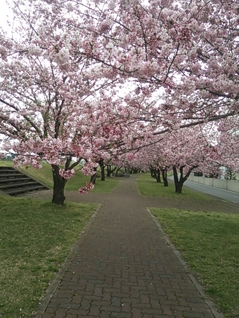 コラムイメージ