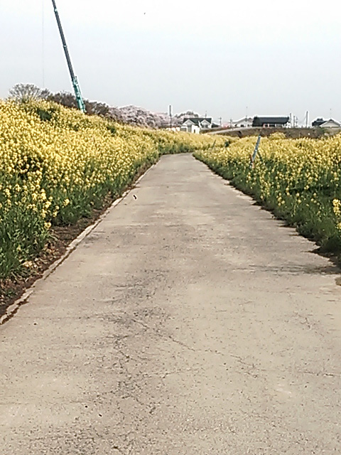 コラムイメージ